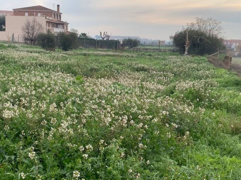 Foto 417d27bb-e747-4cdd-a2dd-679cce6b8806. Area edificabile industriale in capellanes 3 in Alcarràs