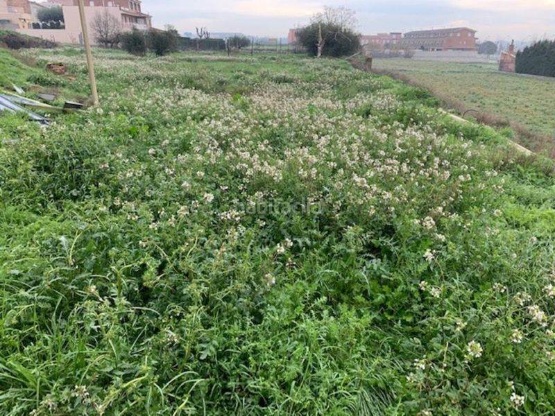 Foto 41804a24-dab4-4e8d-b034-98156dd5d23b. Area edificabile industriale in capellanes 3 in Alcarràs