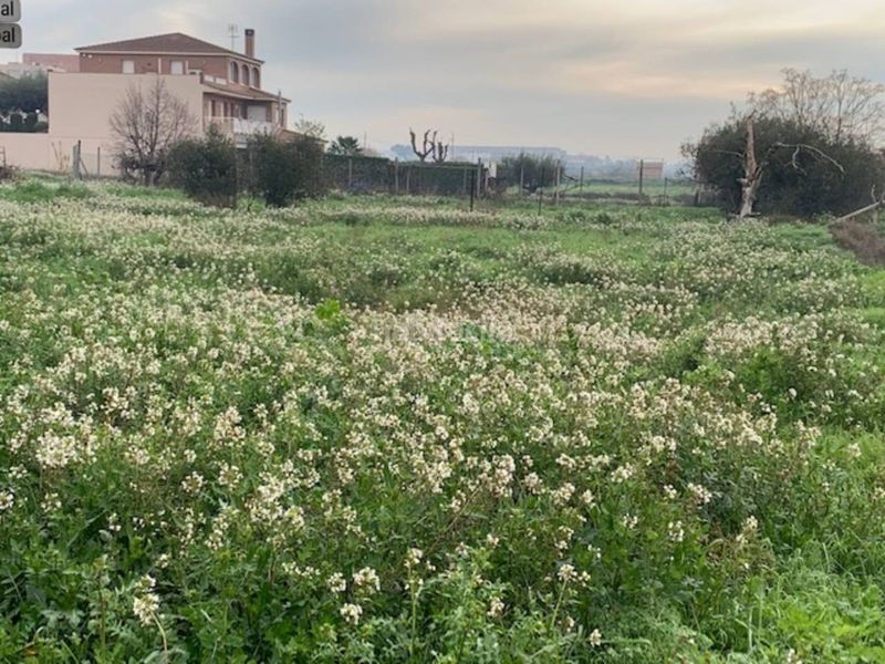 Foto abb2a552-4a1d-4fd4-8ea2-428c34d63526. Area edificabile industriale in capellanes 3 in Alcarràs