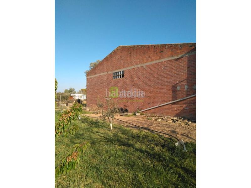 Foto c7a5bb28-340d-449e-a0ac-50dc7417fe42. Masia amb aparcament a Alcarràs