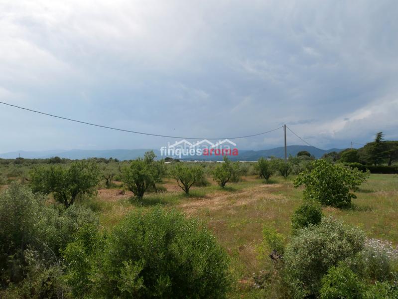 Foto d37357b3-9167-45a3-a82c-69edc3b2f457. Casa se vende casa tipo masia de 120 m2 y 4900m2 de terreno rústico en baiona, (tarragona). en Valls