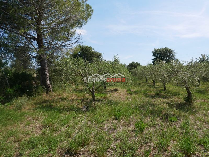 Foto 4ce8f974-ccdd-4d63-bb30-0923aa7eb75f. Casa amb xemeneia calefacció a Alió