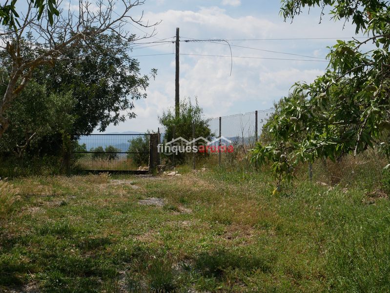 Foto b6d0063a-9a23-4c24-b3f1-563c3e192cac. Casa amb xemeneia calefacció a Alió