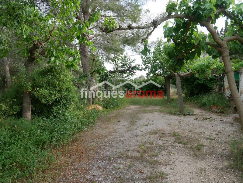Foto e5b18603-2740-4fed-958e-0b2ba541a343. Casa amb xemeneia a Valls