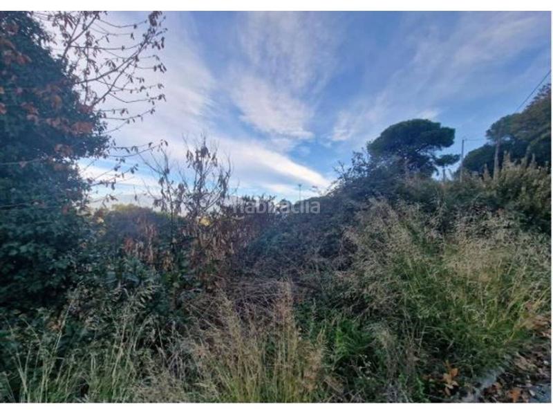 Foto d4ec8a58-5b87-4ae1-b44d-360726cfc542. Finca rústica a camperol 48 a Vallgorguina