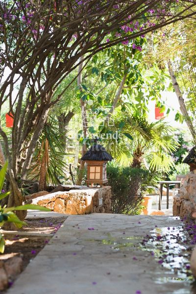 Foto d8e6afed-5800-4ffe-b8d0-bbe2ac218ccb. Casa amb aparcament piscina a Cap Martinet Santa Eulària