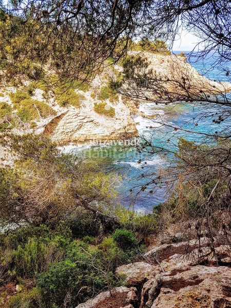 Foto e3967d99-ac9e-49b1-b429-36b8d95d23a2. Casa amb aparcament piscina a Cap Martinet Santa Eulària