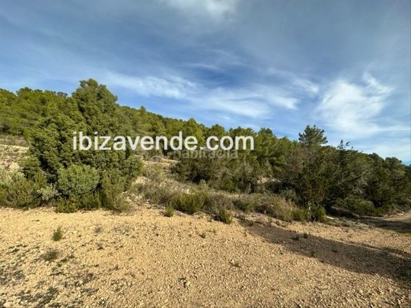Foto a2bfcb8b-d936-45fd-a82e-898ca09274a0. Finca rústica terreno rústico con construcción en san rafael en Sant Antoni de Portmany