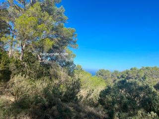 Fondo rustico  De cala d'hort. Bonito terreno en cala dhort cerca del mirador de es vedrá.