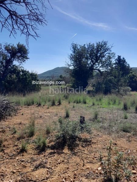 Foto 02208269-bbb3-4ef9-8515-ade4b7018493. Finca rústica a Sant Carles Santa Eulària