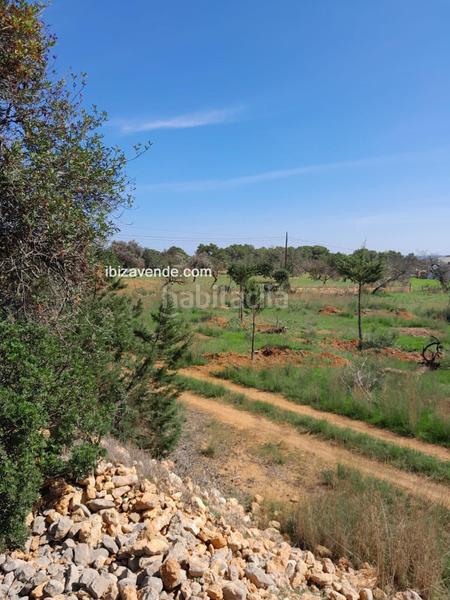 Foto 0a60b93b-9fb1-4276-b384-cb83f840fc2b. Finca rústica a Sant Carles Santa Eulària