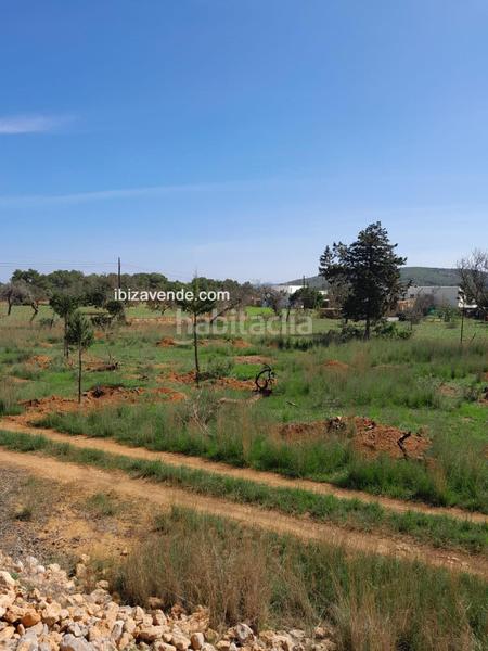 Foto 0e344fd1-6108-4a18-8946-5870d2a431d5. Finca rústica a Sant Carles Santa Eulària