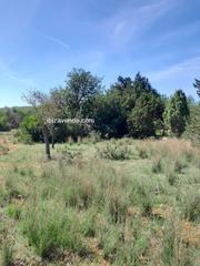 Fondo rustico  Es canar. Magnifica parcela rústica para construir una casa en san carlos