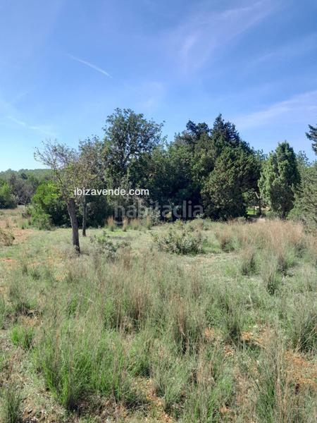 Foto 2f2e2eef-b540-4d2c-9042-8f64a091b1f0. Finca rústica a Sant Carles Santa Eulària