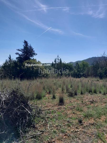 Foto 3b4d8f8d-d850-4cee-a980-8f12cd09de60. Finca rústica a Sant Carles Santa Eulària