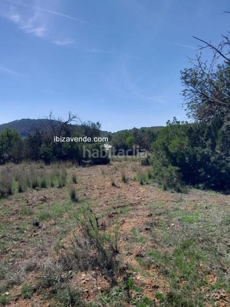 Foto 941b4812-53ce-4a3b-abe3-98605fb72417. Finca rústica a Sant Carles Santa Eulària