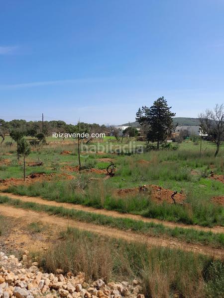Foto ad69b15c-fc1d-47c0-9a59-0729c250eb54. Finca rústica a Sant Carles Santa Eulària