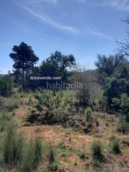 Foto c61c05f8-f6f2-45ba-b01f-0552730c5c91. Finca rústica a Sant Carles Santa Eulària