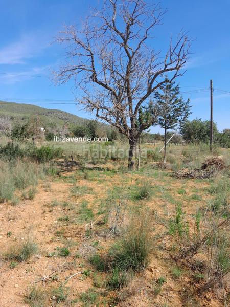 Foto d78120d1-03ce-4bdb-947e-3f9c94502e15. Finca rústica a Sant Carles Santa Eulària