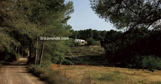 Terreny residencial  San juan. Parcela rústica en san juan, con licencia de construccion conced