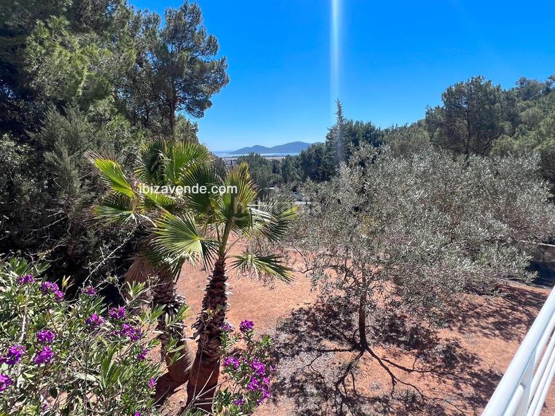 Foto 59492b75-0122-4975-ad5d-897d1491b91e. Maison avec chauffage piscine dans Es Cubells Sant Josep de sa Talaia