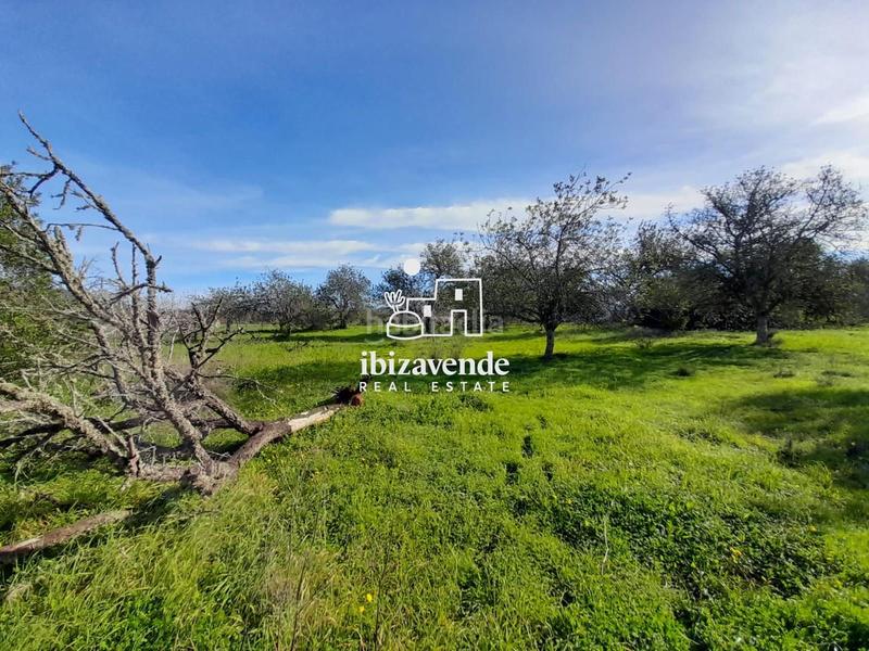 Foto 1c697b1e-1f63-4f36-a05b-77d6978dac0d. Landgut in Sant Joan de Labritja