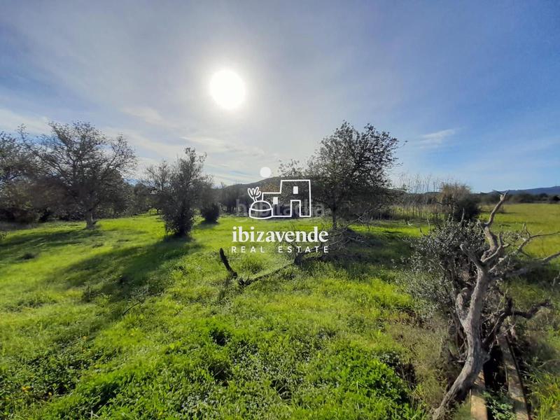 Foto 3b2ed376-4e72-4f22-b903-8f24c16f615b. Landgut in Sant Joan de Labritja