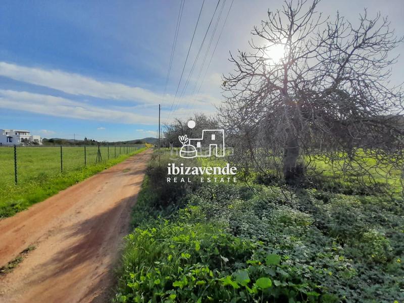 Foto 7eea9ba2-4a79-4693-a93c-eb5b6c0f0cce. Landgut in Sant Joan de Labritja