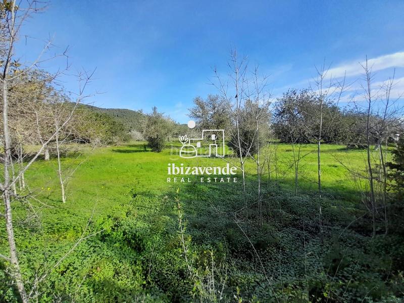 Foto 80fc32e8-a16b-49eb-ab31-890b0bdc87a9. Landgut in Sant Joan de Labritja