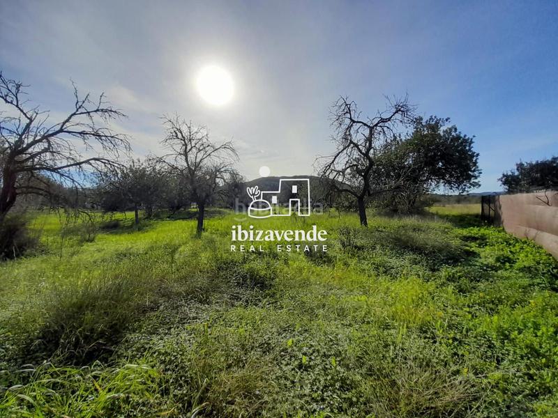 Foto 81d49999-43f0-4042-a478-433b475bd2d8. Landgut in Sant Joan de Labritja