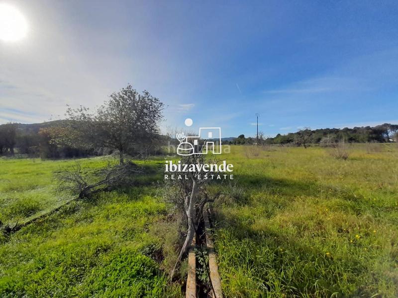 Foto cbf367f5-6c76-4833-be4b-232de5e53ae8. Landgut in Sant Joan de Labritja