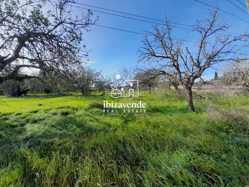 Foto ec9c110e-da6f-45fc-838e-d2e64eb5eda2. Landgut in Sant Joan de Labritja