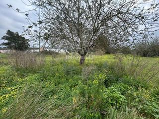 Finca rústica  San lorenzo km 12. Fantástica parcela en dirección a san lorenzo