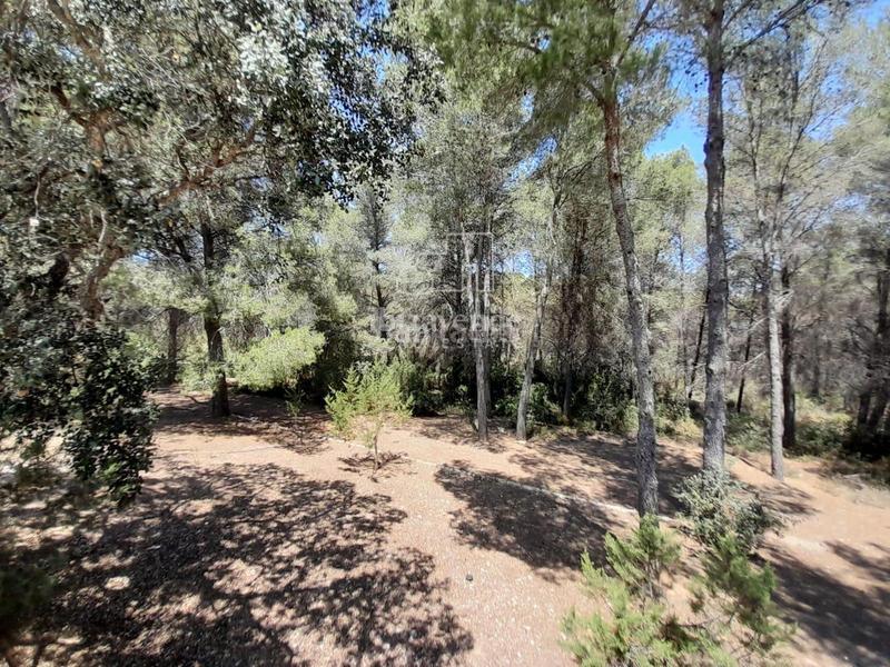 Foto 34fca0a1-fd35-487d-aa16-aa2e424276bf. Xalet amb calefacció aparcament piscina a Santa Gertrudis Santa Eulària