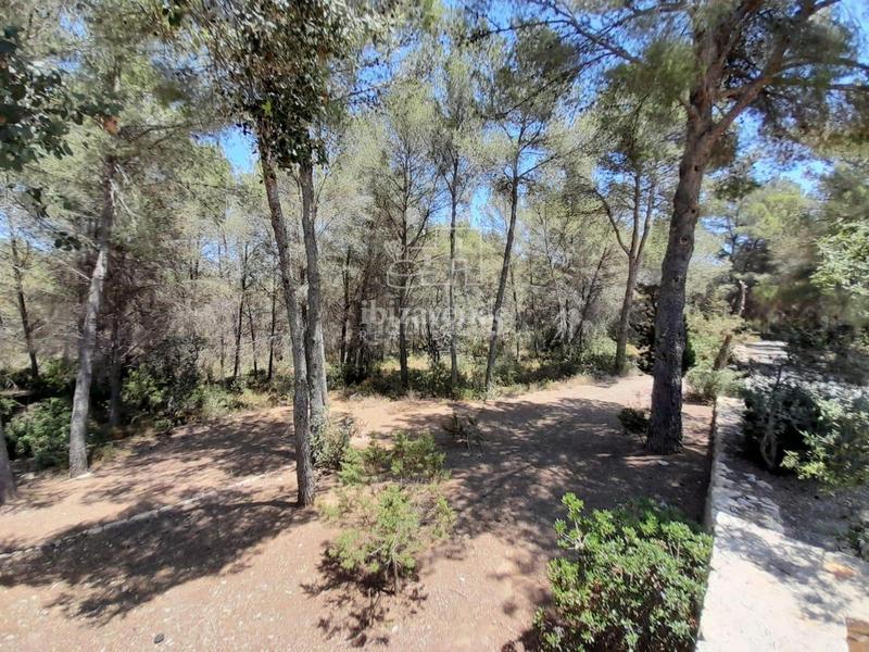 Foto bc98103c-99eb-4a97-a089-5fccbf3b816a. Xalet amb calefacció aparcament piscina a Santa Gertrudis Santa Eulària