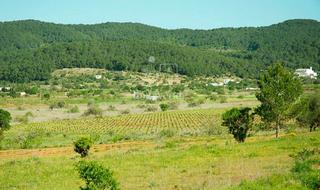 Terreny residencial  Sant mateu d'albarca. Parcela con proyecto en san mateo