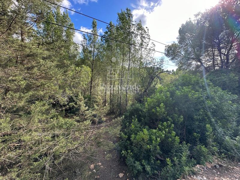 Foto 0ea0dcbd-4506-42ef-845e-13d42453313c. Landgut in Sant Joan de Labritja