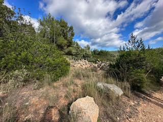 Fondo rustico  Sant miguel. Bonita parcela en el norte de la isla en san miguel