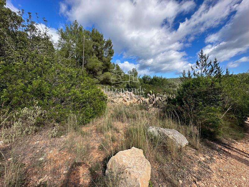 Foto 24982253-d0c2-457c-afb2-98c767feac0a. Landgut in Sant Joan de Labritja