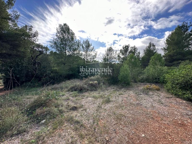 Foto 48ca743e-8100-4df2-9479-d09964dfdced. Landgut in Sant Joan de Labritja