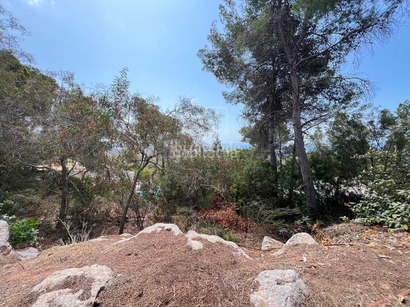 Foto 4dfffe88-c4c2-4bdd-bdaf-30263035ab53. Alquiler casa casita con vistas panorámicas al mar y total privacidad en Es Cubells en Sant Josep de sa Talaia