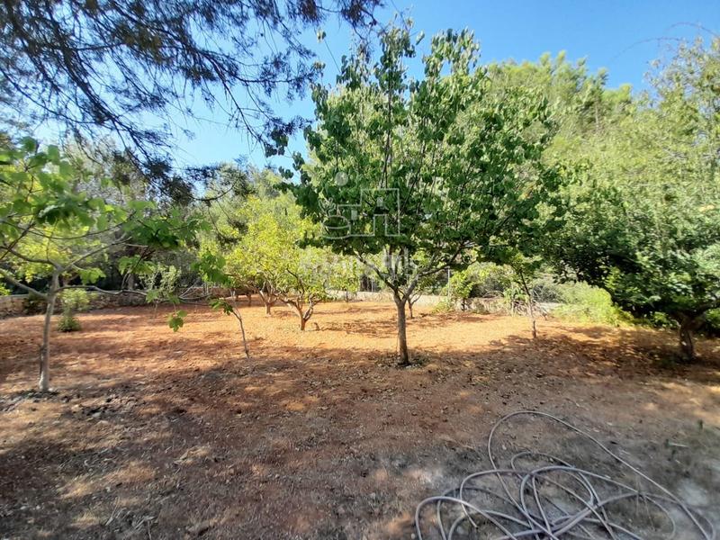 Foto 4cced3c8-a95a-4d64-bb5a-cc47a877c29a. Chalet mit parking pool in Santa Eulària des riu Santa Eulària