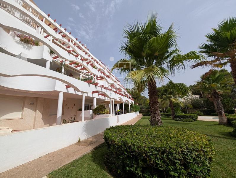 Foto 7cd3fa56-79fe-4a46-a0d3-492389896103. Alquiler piso apartamento con vistas a la piscina en cala llenya urbanización la joya, para 11 meses en Santa Eulària