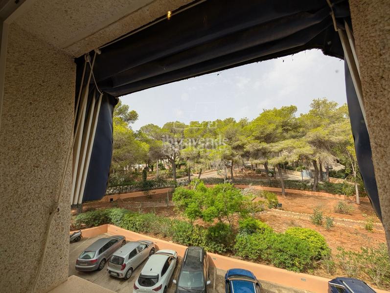 Foto 8af8c2cc-2e03-49e1-83d0-fb468d2637f4. Alquiler piso apartamento con vistas a la piscina en cala llenya urbanización la joya, para 11 meses en Santa Eulària