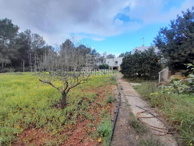 Foto 4ae51f5d-2434-4a94-aa02-17dc296106de. Chalet autenticidad ibicenca con comodidad moderna en es novells santa eulalia en Santa Eulària