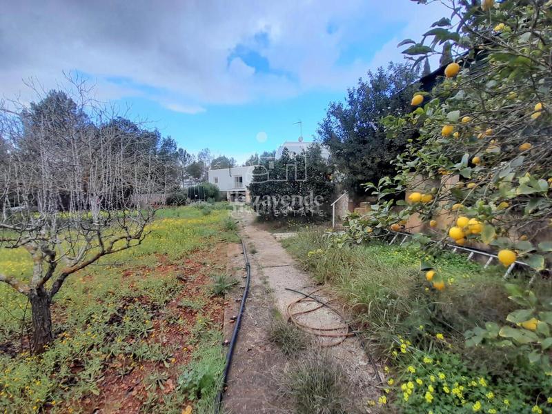 Foto 5d0a511c-6e76-426d-abdb-59f39033833b. Chalet autenticidad ibicenca con comodidad moderna en es novells santa eulalia en Santa Eulària