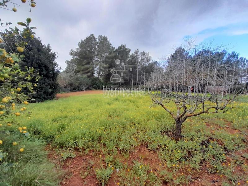 Foto ce897bdc-80e4-4d0e-8979-760106dc78d2. Chalet autenticidad ibicenca con comodidad moderna en es novells santa eulalia en Santa Eulària