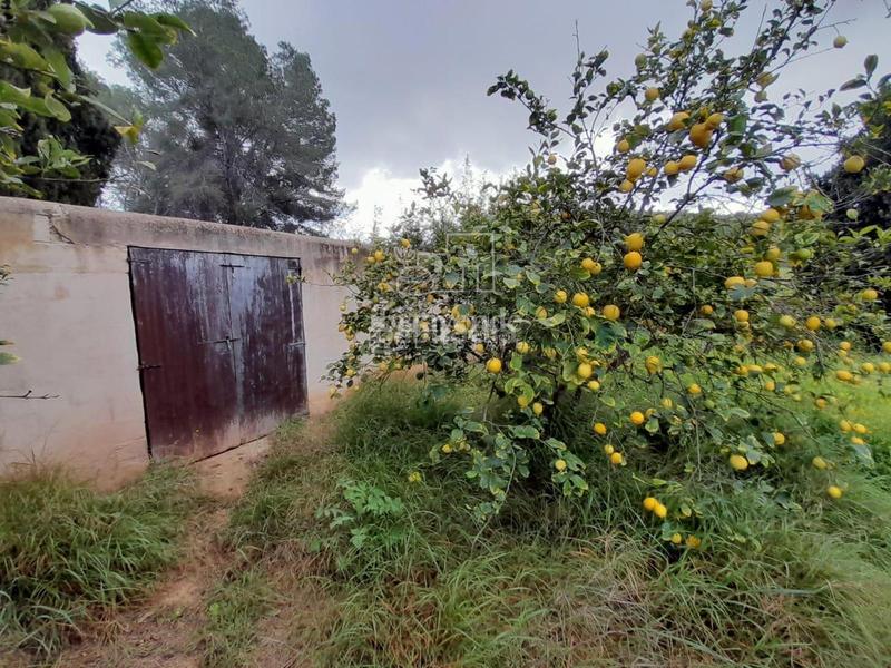 Foto ef1c51c5-d10c-4f68-a576-960552070672. Chalet autenticidad ibicenca con comodidad moderna en es novells santa eulalia en Santa Eulària