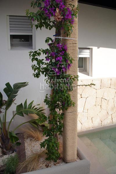 Foto 187703d6-339f-4332-a741-fde85bb1c497. Affitto appartamento con riscaldamento parcheggio piscina in Sant Antoni de Portmany