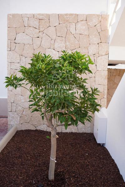 Foto ab11c5ff-6621-4cb6-a075-a4366a56a14f. Affitto appartamento con riscaldamento parcheggio piscina in Sant Antoni de Portmany